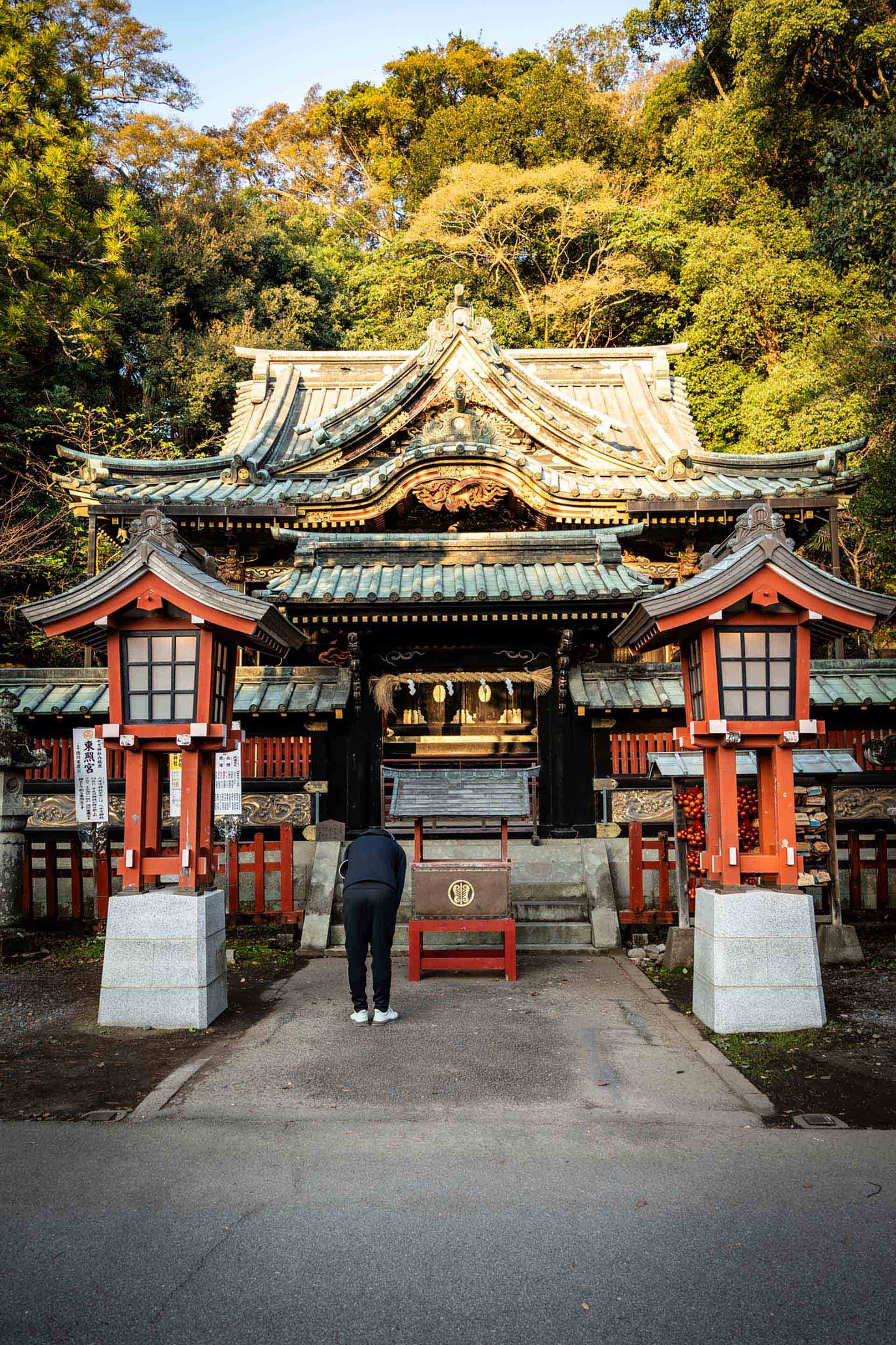 20代からの資産形成｜若いうちに始めるべき理由と具体的な方法