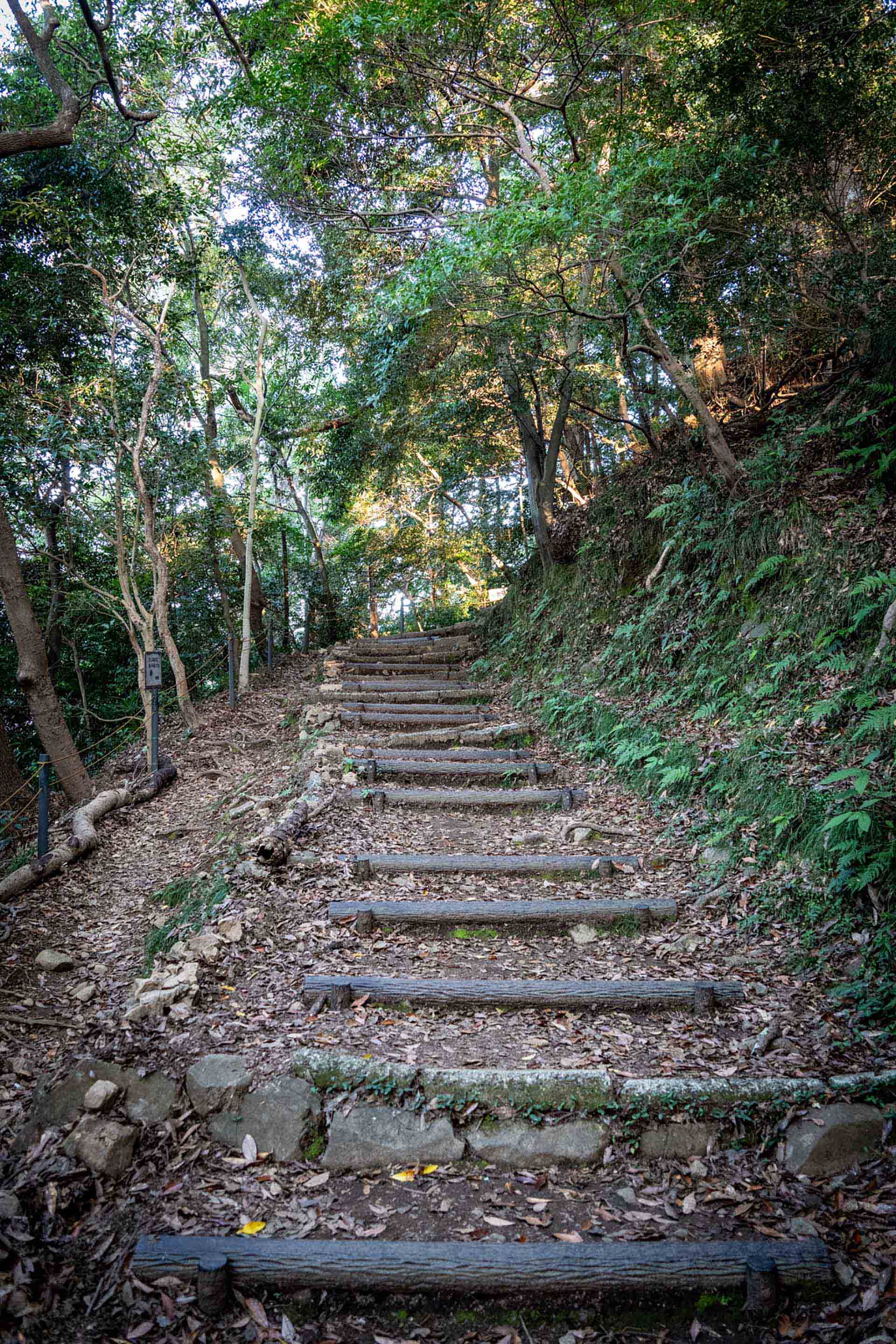 損出しとは？年末にやるべき節税テクニック｜やり方と注意点を解説