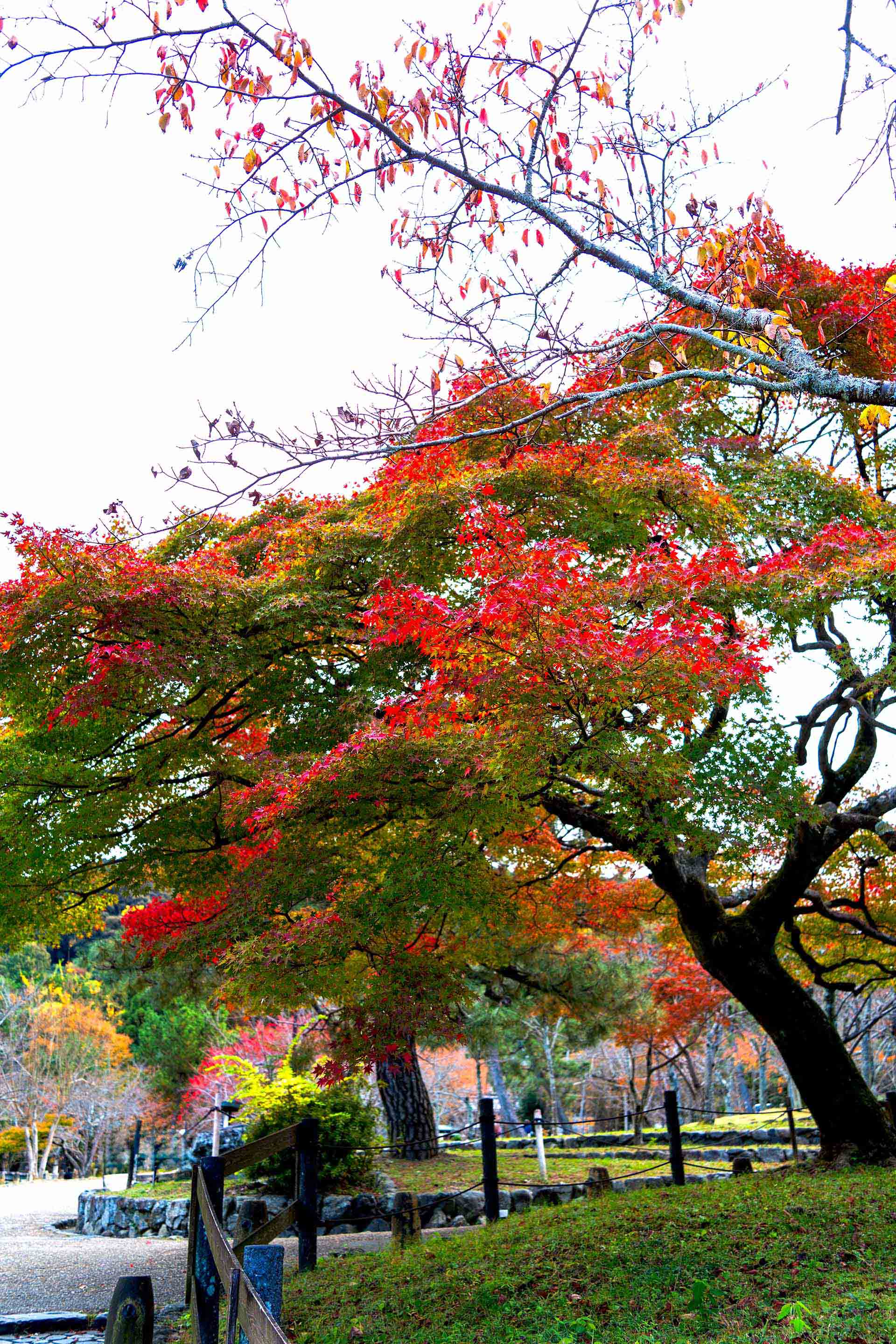 新NISA3年目のメンテナンス｜金融機関・投資先を見直す7つのポイント