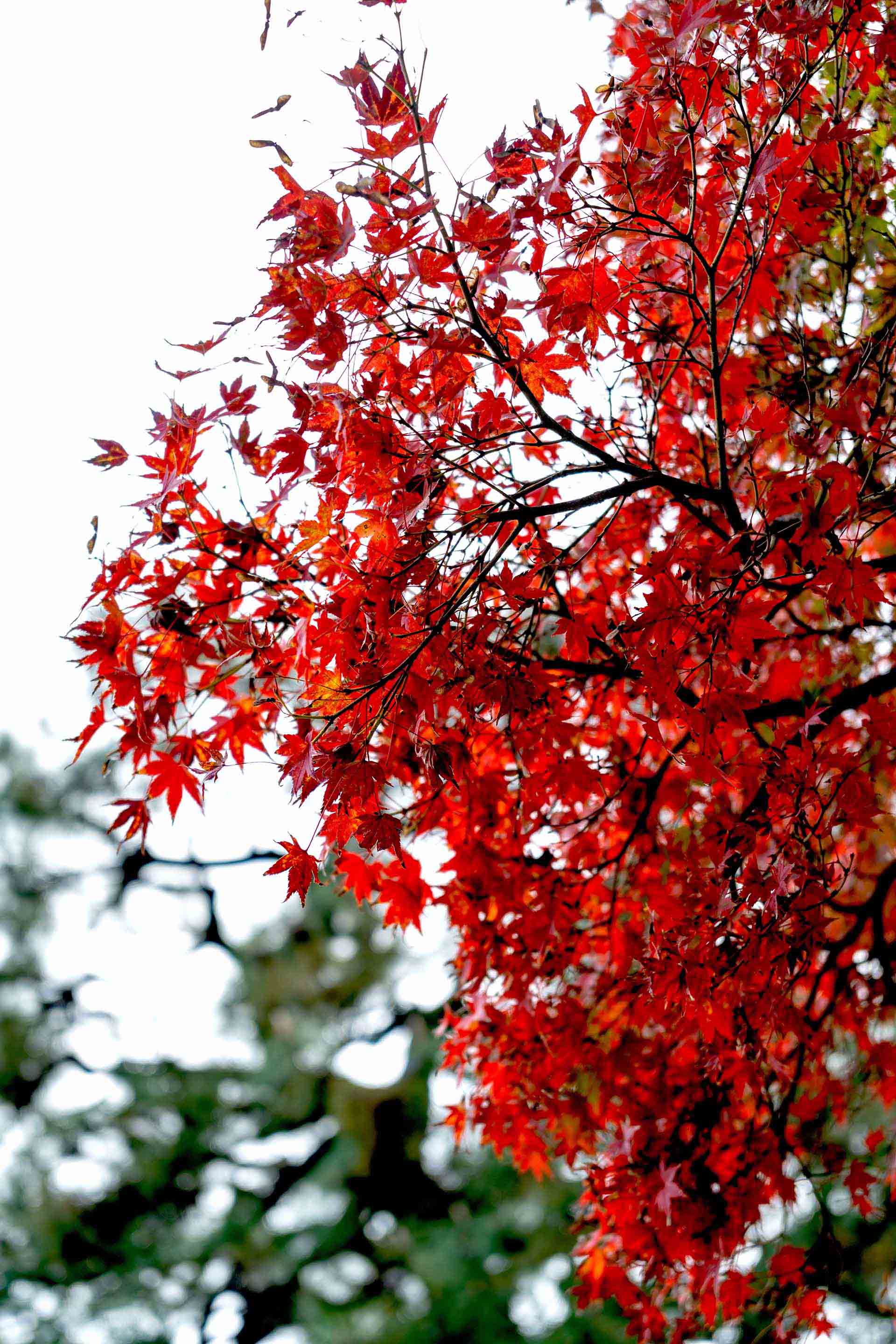 円安160円時代の外貨建て資産戦略──為替リスクと上手に付き合う方法