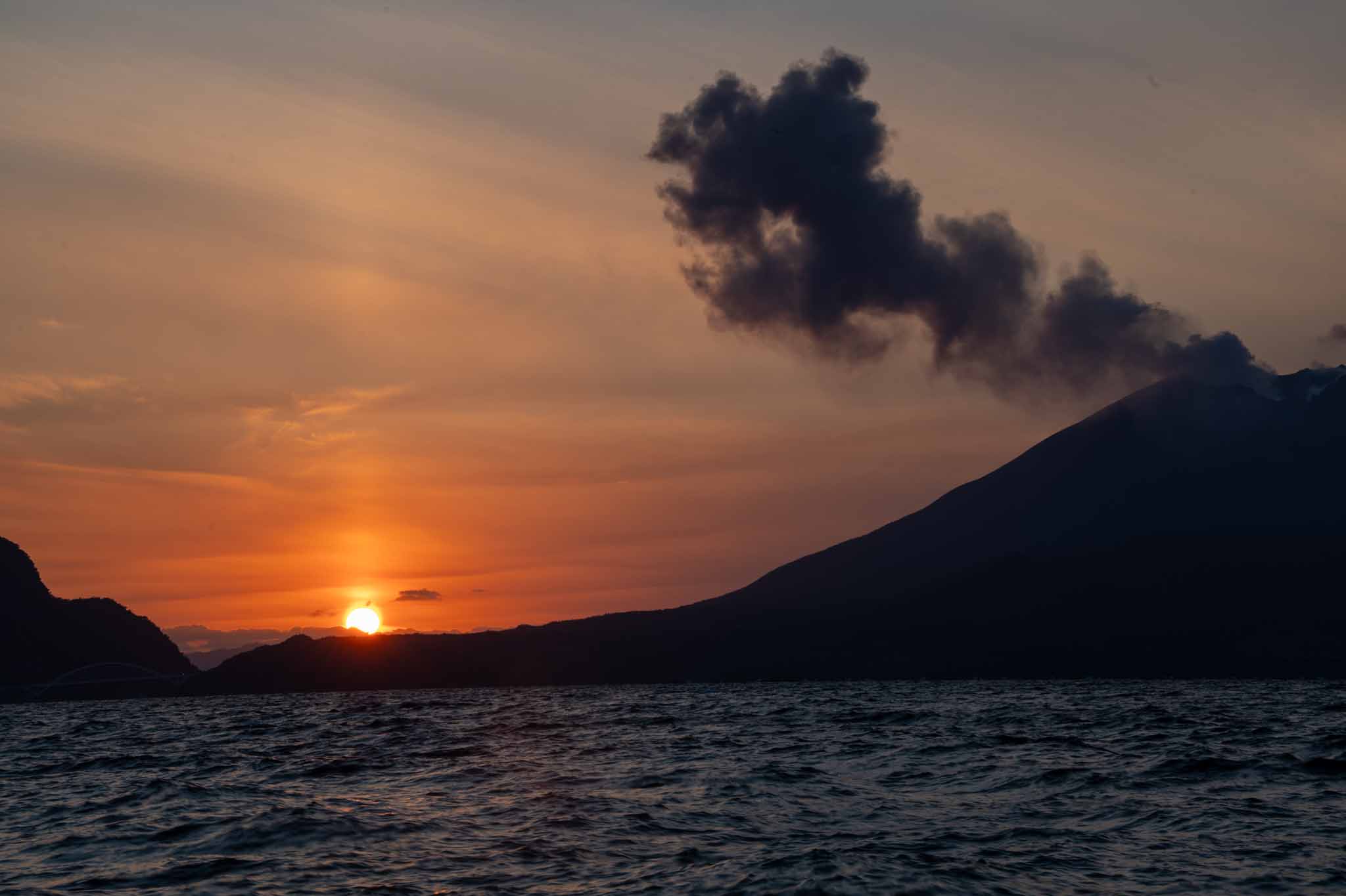 AI株が再び上昇の勢いを取り戻す｜Nvidiaが史上最高値を更新、AMDも80%上昇