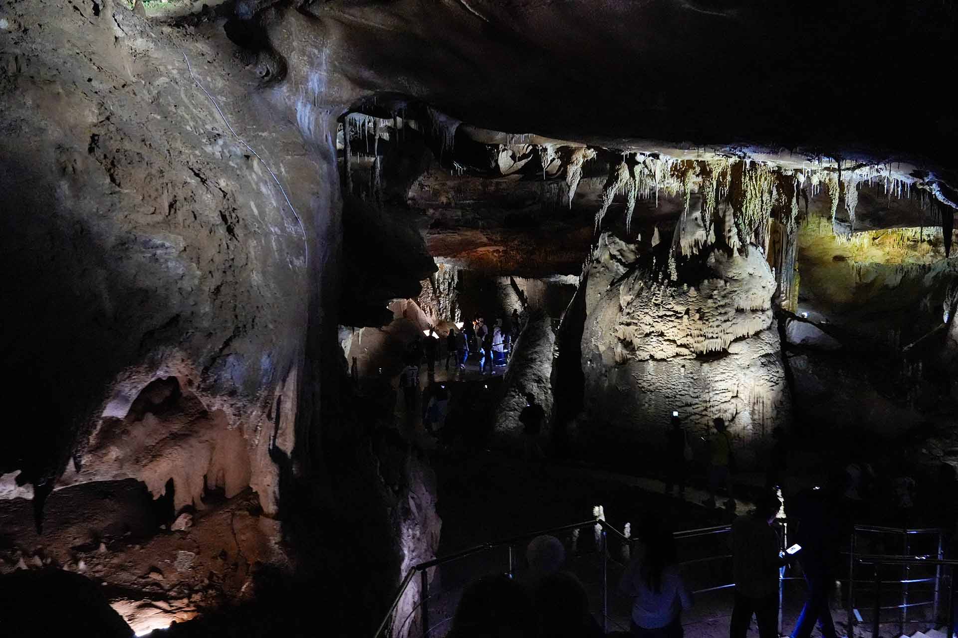 毎月分配型投資信託はおすすめしない｜元本払戻しの罠を解説