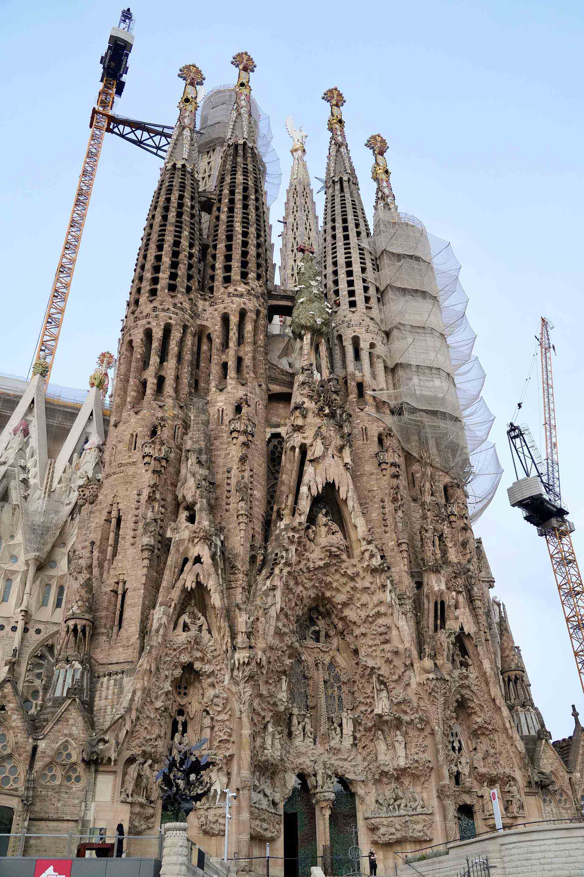損切りできない心理学｜行動経済学から学ぶ投資の罠