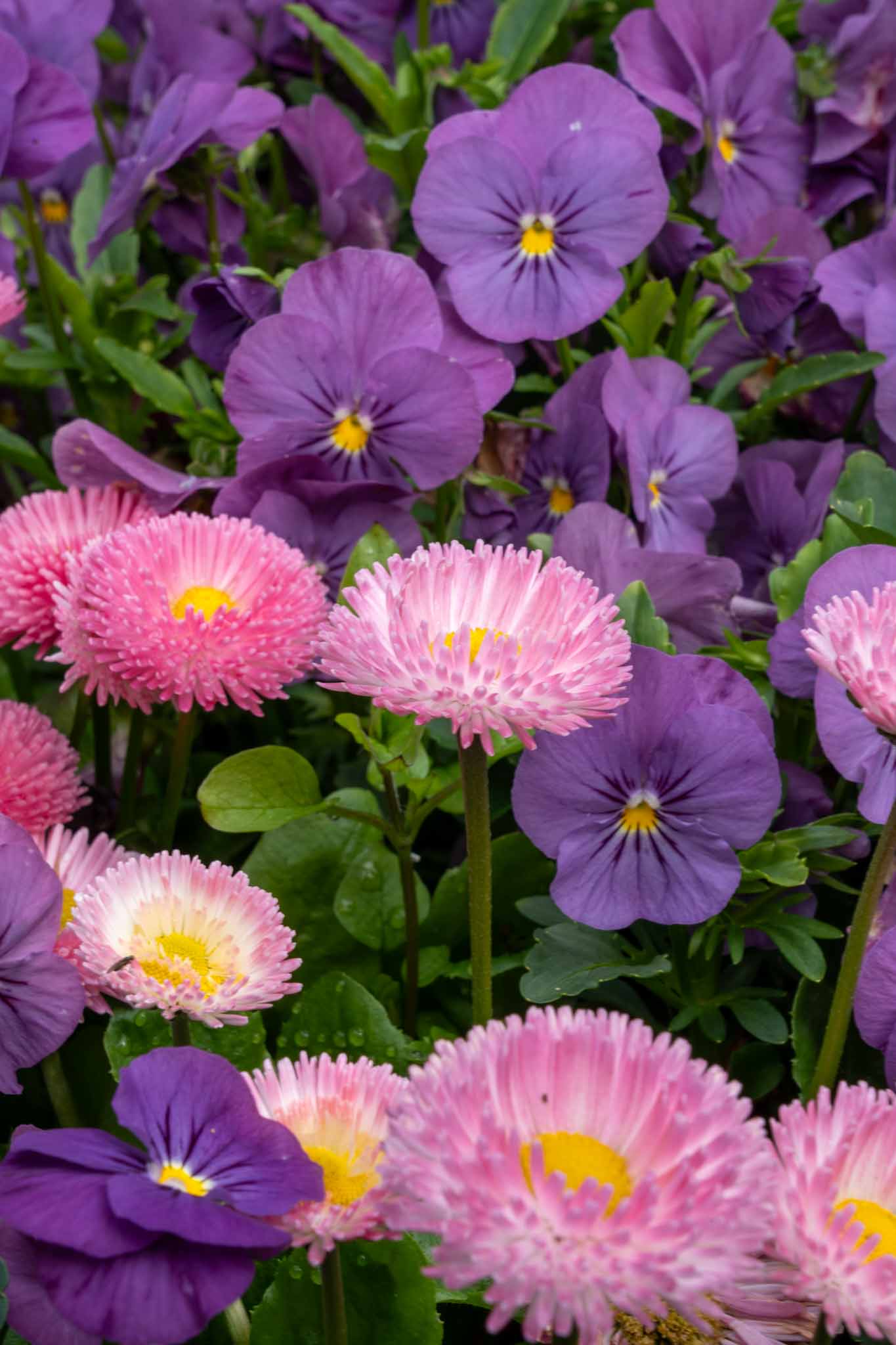 生活防衛資金とは？投資を始める前に確保すべき金額の目安