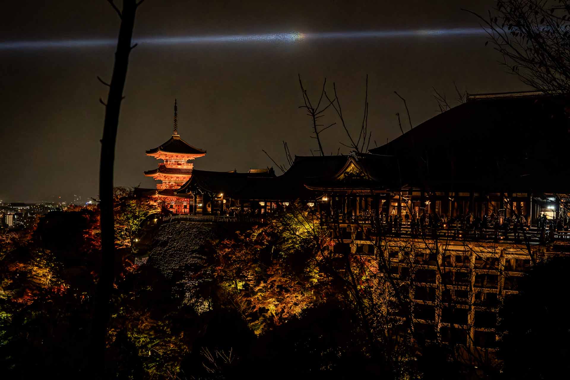 新NISAとiDeCo、どっちを優先すべき？年収別シミュレーション