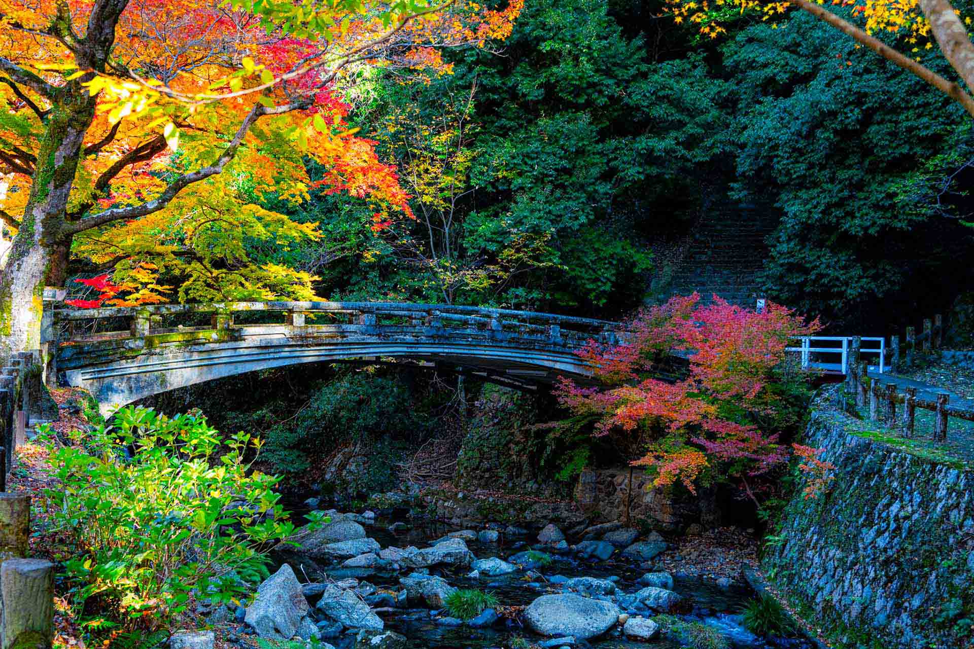 PER・PBR・ROEとは｜株式投資の基本指標をわかりやすく解説