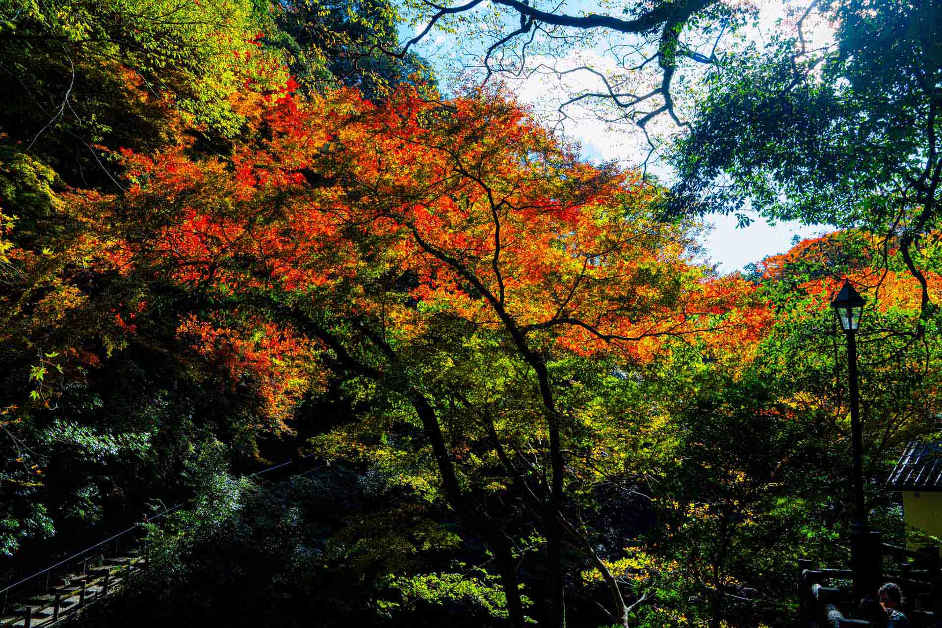 急落銘柄の「下げの理由」と今後の見通し｜2025年12月の株式市場を分析