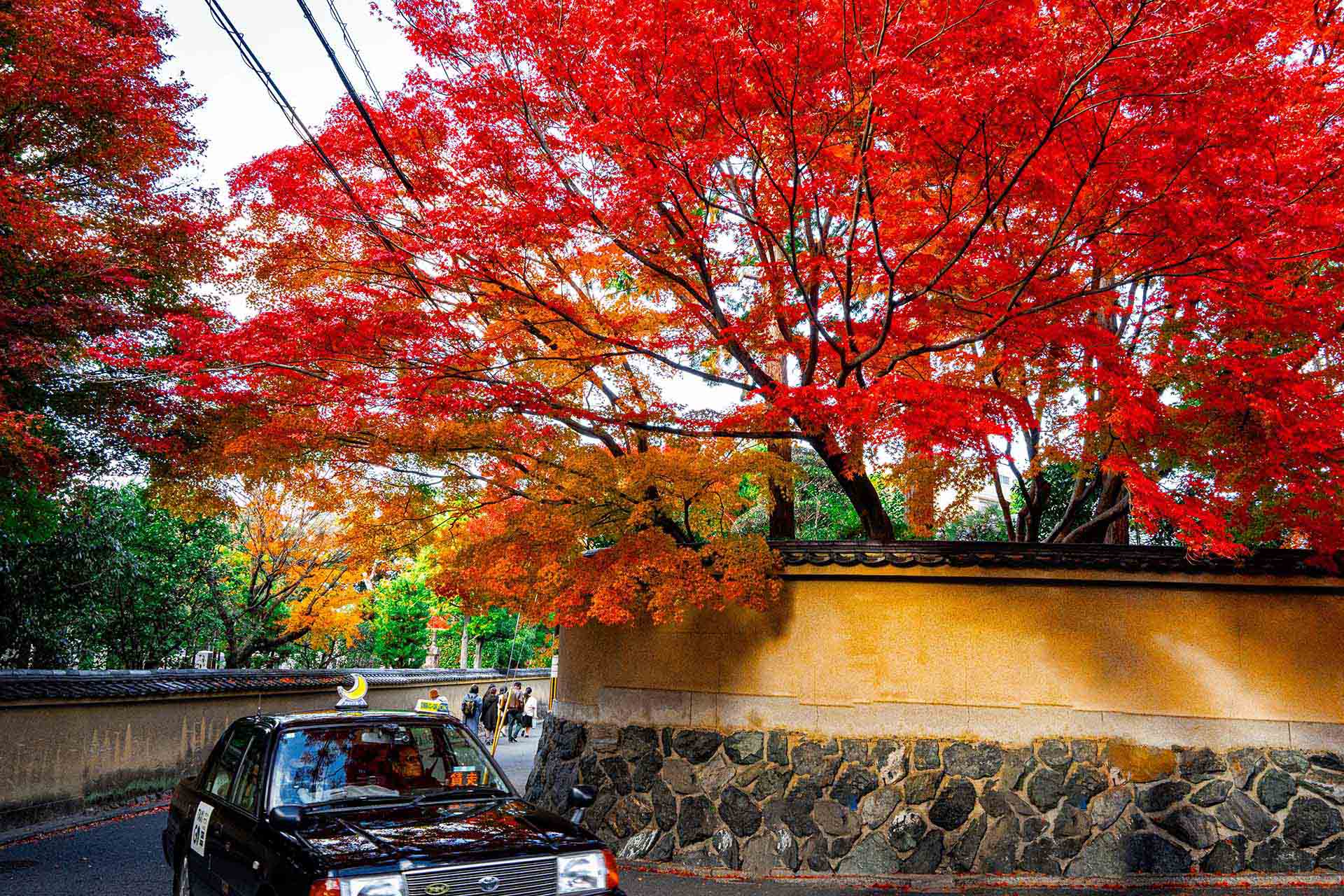 高配当株投資とは？配当利回りだけで選んではいけない理由